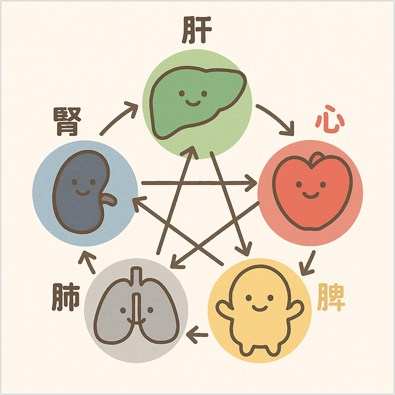 五臓